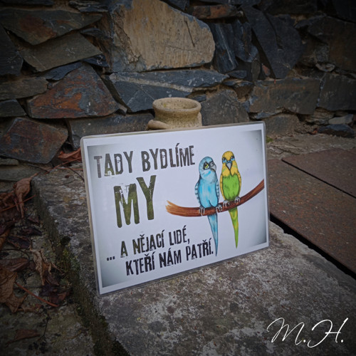 Tady bydlíme my... a někteří lidé (andulky)