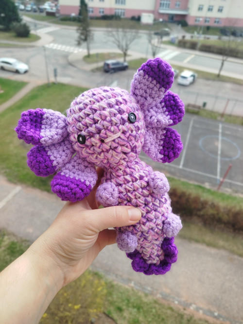 Maxi axolotl