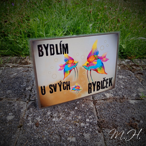 Bydlím u svých rybiček — foto 1