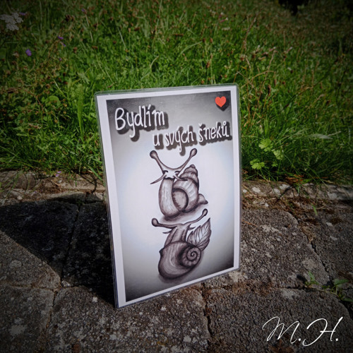 Bydlím u svých šneků — foto 1