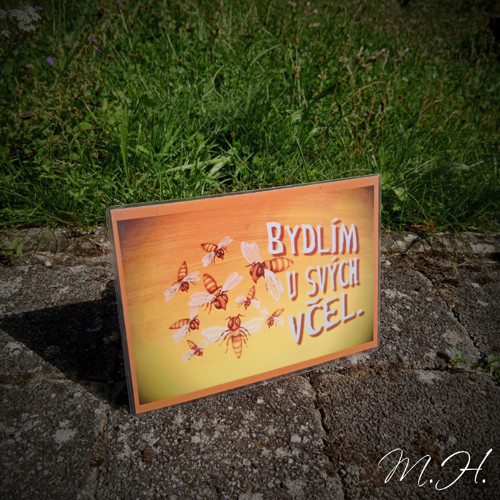 Bydlím u svých včel — foto 1