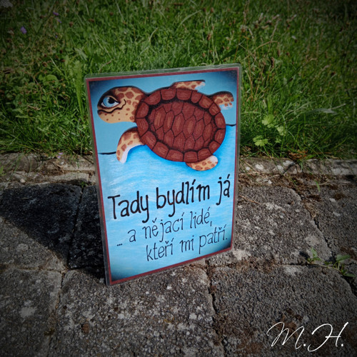 Tady bydlím já... a nějací lidé (želva)