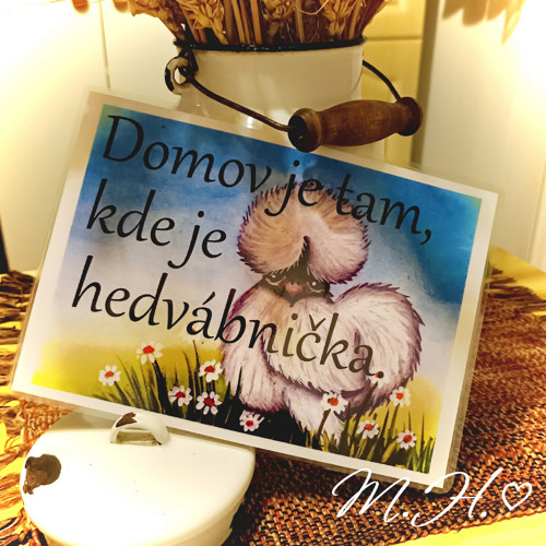 Domov je tam, kde je hedvábnička