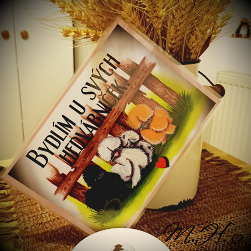 Bydlím u svých hedvábniček — foto 1
