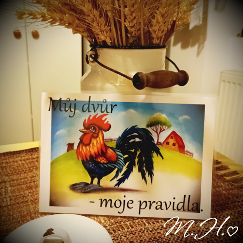 Můj dvůr, moje pravidla! (kohout)