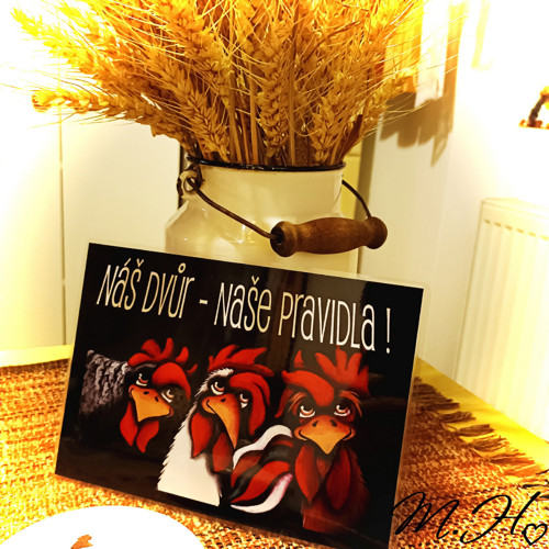 Náš dvůr, naše pravidla! (slepice)