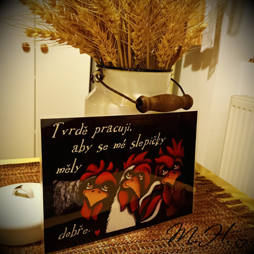 Tvrdě pracuji, aby se mé slepičky měly dobře.