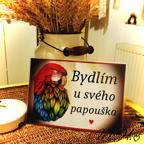 Bydlím u svého papouška