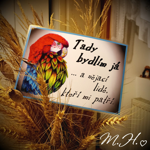 Tady bydlím já... a nějací lidé (papoušek)