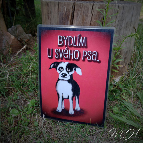 Bydlím u svého psa - černobílý pes