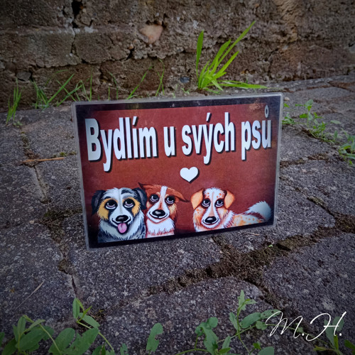 Bydlím u svých psů - australáci