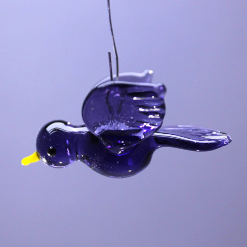 Ptáček