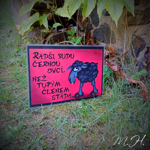 Radši budu černou ovcí...