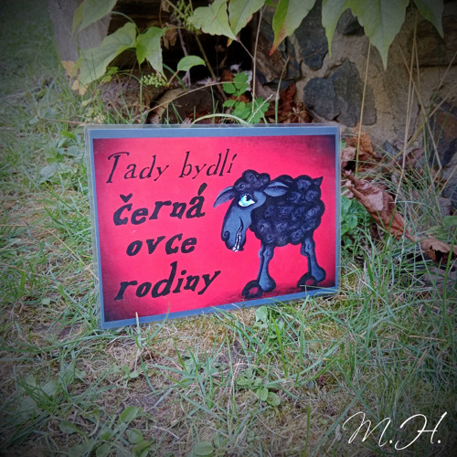 Tady bydlí černá ovce rodiny — foto 1