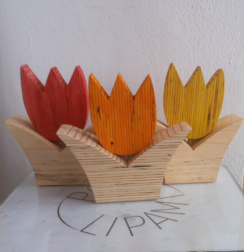 Kytka tulipán