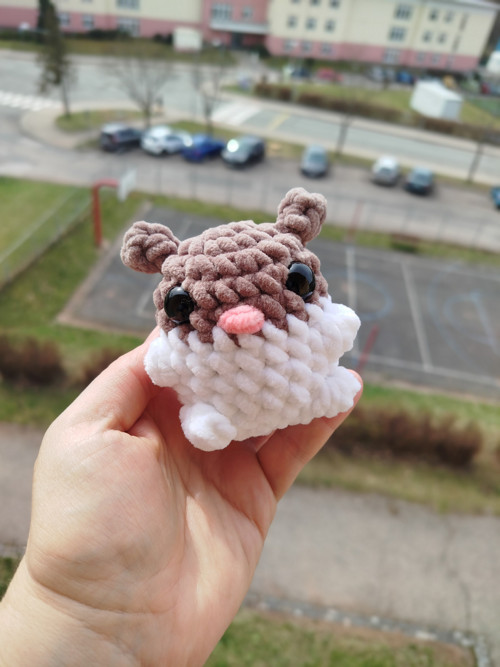 Mini křeček — foto 1