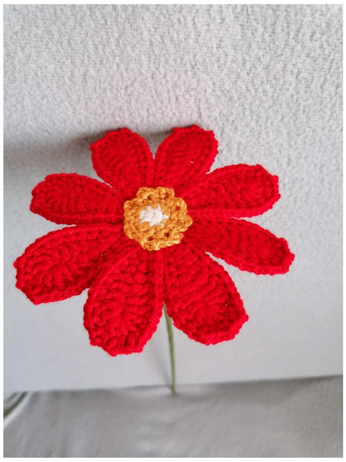 Gerbera červená