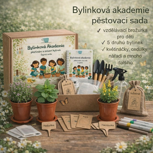 Bylinková akademie Čajová směs