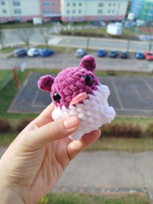 Mini křeček