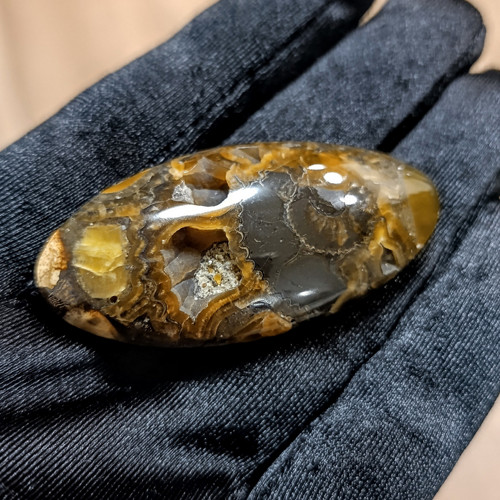 Simbircito-amonitová geoda, ID 5643, 53x25 mm