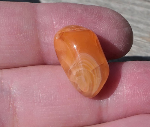 Karneol (18 mm) V3384 — foto 1