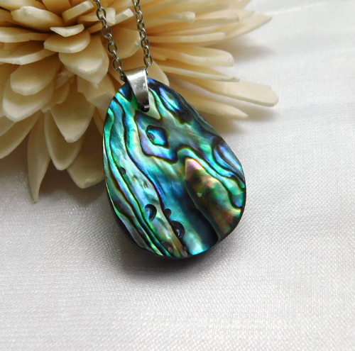 Paua mušla / abalone