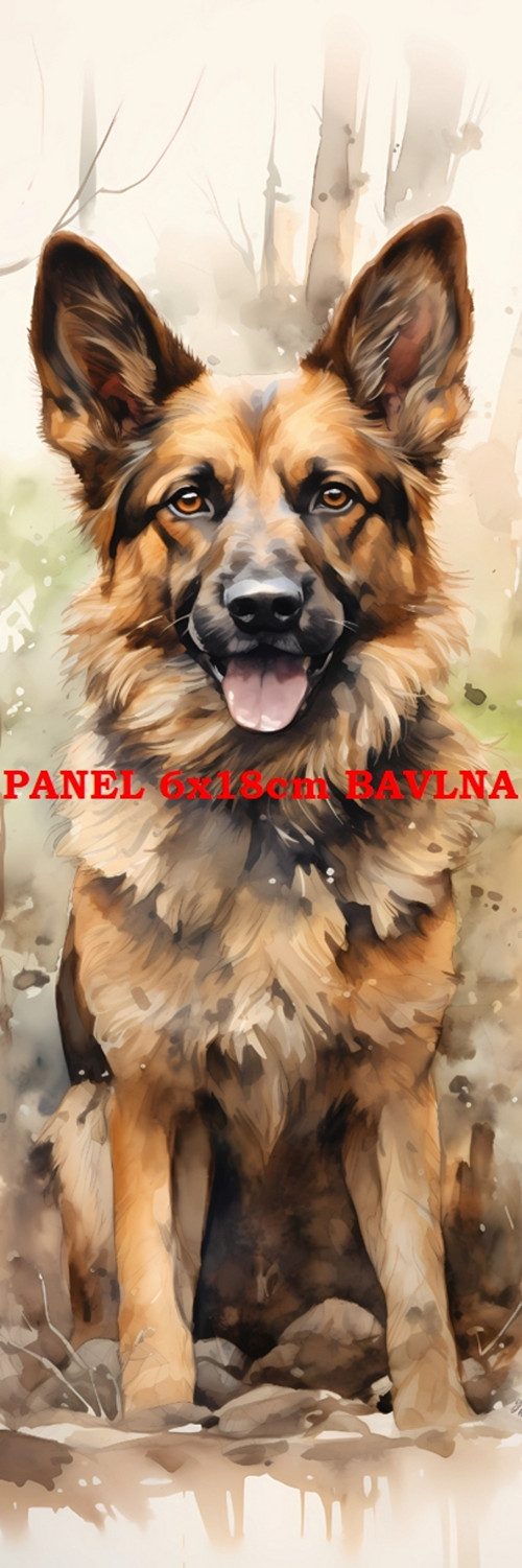 Kočárkovina panel 6x18 cm skladem