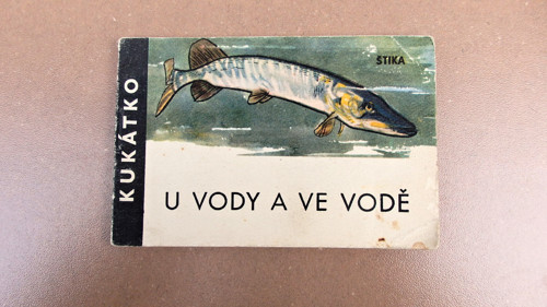 U vody a ve vodě — foto 1