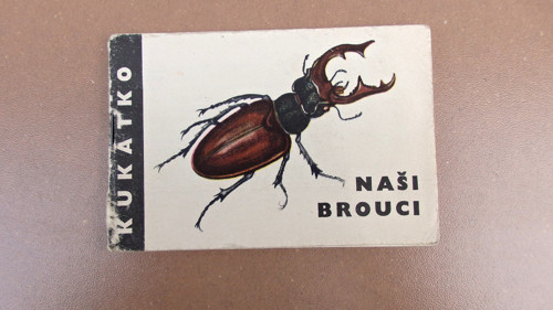 Naši brouci — foto 1