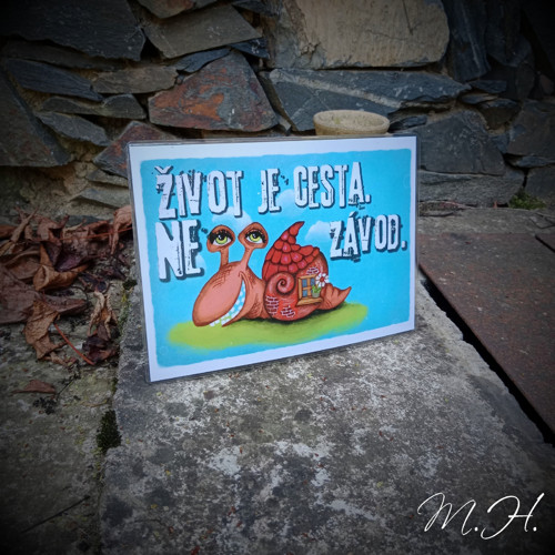 Život je cesta, ne závod — foto 1