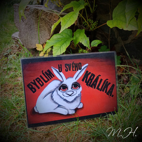 Bydlím u svého králíka