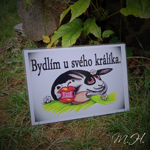 Bydlím u svého králíka