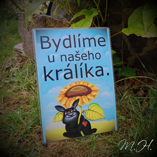 Bydlíme u našeho králíka — foto 1