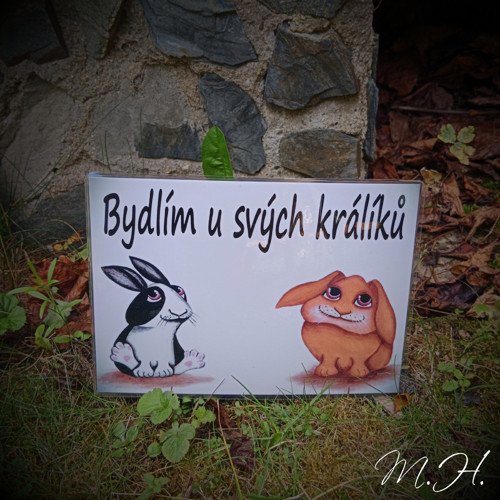 Bydlím u svých králíků