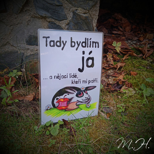 Tady bydlím já... a nějací lidé (králík)