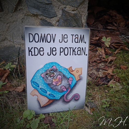 Domov je tam, kde je potkan
