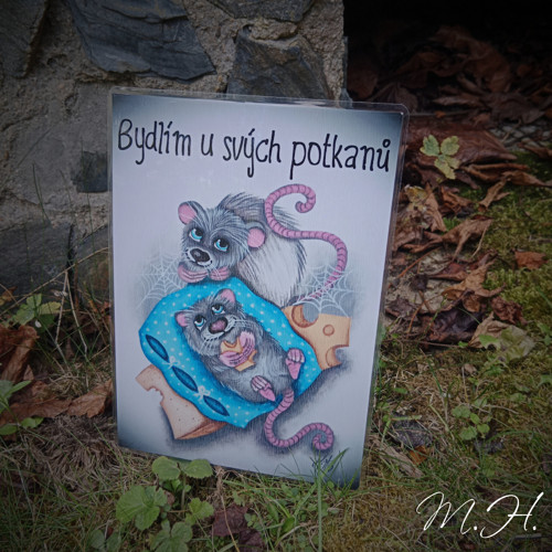 Bydlím u svých potkanů