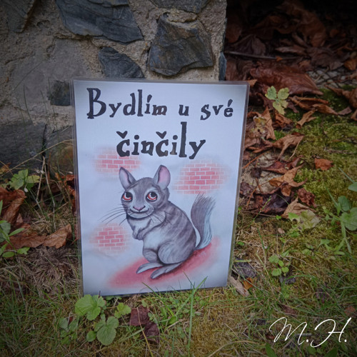 Bydlím u své činčily