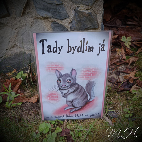 Tady bydlím já... a nějací lidé (činčila)