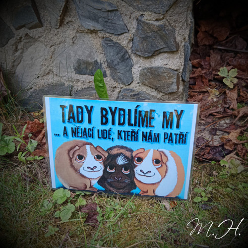 Tady bydlíme my... a nějací lidé (králíci)