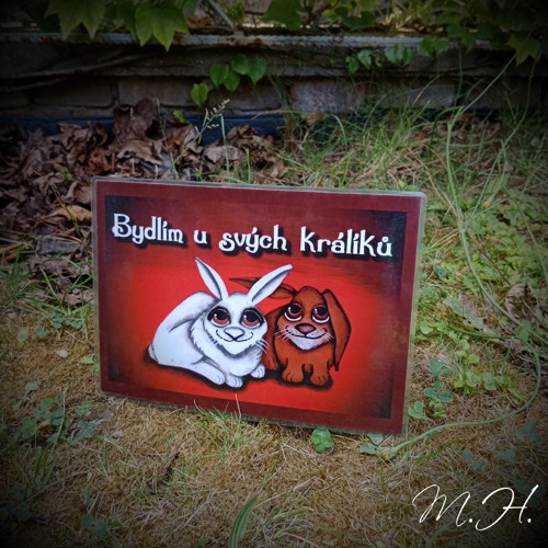 Bydlím u svých králíků — foto 1