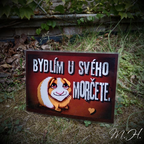 Bydlím u svého morčete