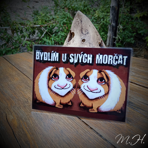 Bydlím u svých morčat