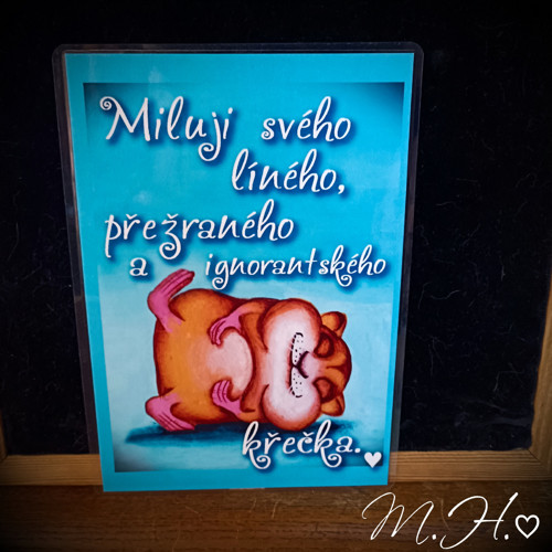Miluji svého líného, přežraného... křečka