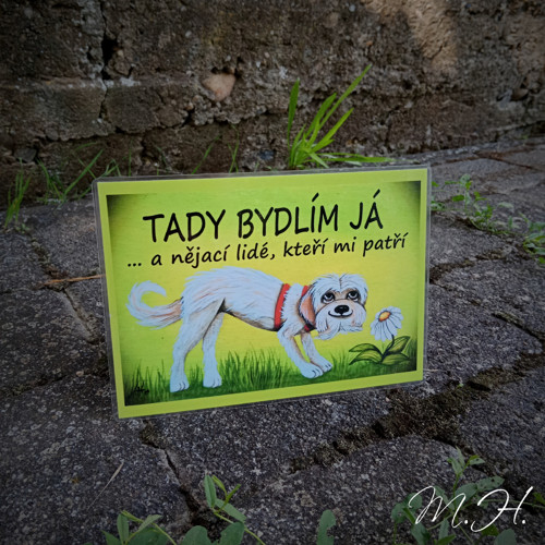 Tady bydlím já... a nějací lidé... (bílý pes)