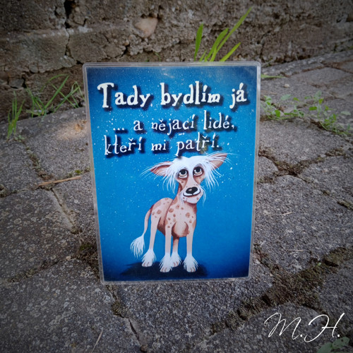 Tady bydlím já... a nějací lidé... (pes naháč) — foto 1