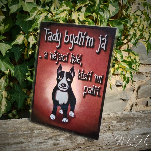 Tady bydlím já... a nějací lidé... (bullterier)