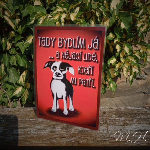 Tady bydlím já... a nějací lidé... (černobílý pes)