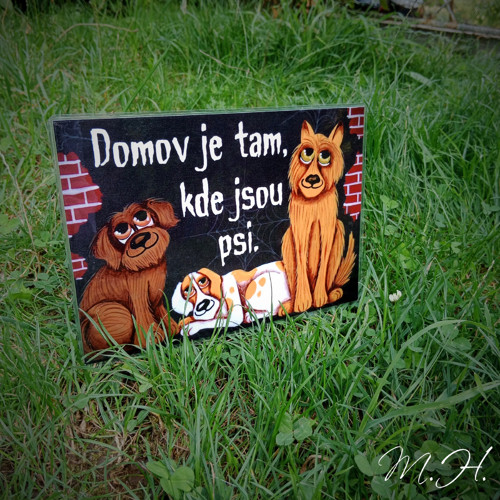 Domov je tam, kde jsou psi