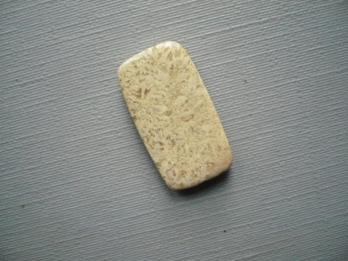 Kabošon - fosilní korál 20 mm, č.34Af